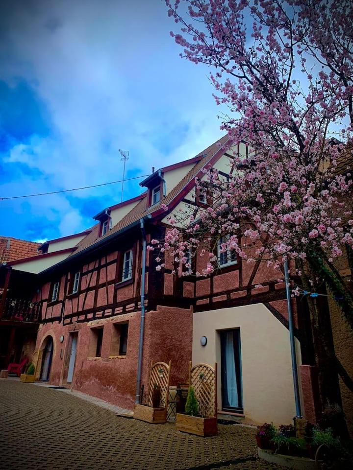Le Clocher " Sous Les Combles" Parking Gratuit Beblenheim Esterno foto