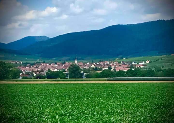 Le Clocher " Sous Les Combles" Parking Gratuit Beblenheim Esterno foto