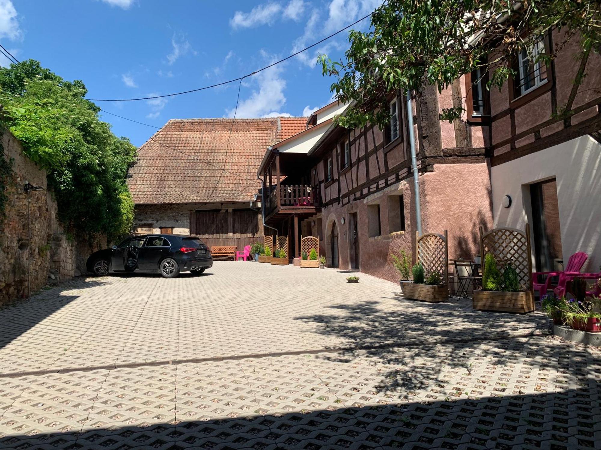 Le Clocher " Sous Les Combles" Parking Gratuit Beblenheim Esterno foto